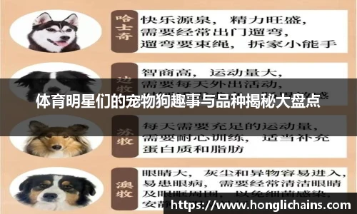 体育明星们的宠物狗趣事与品种揭秘大盘点